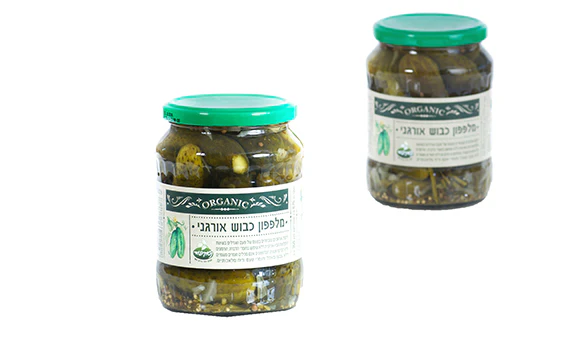 תמונה ממוזערת 1