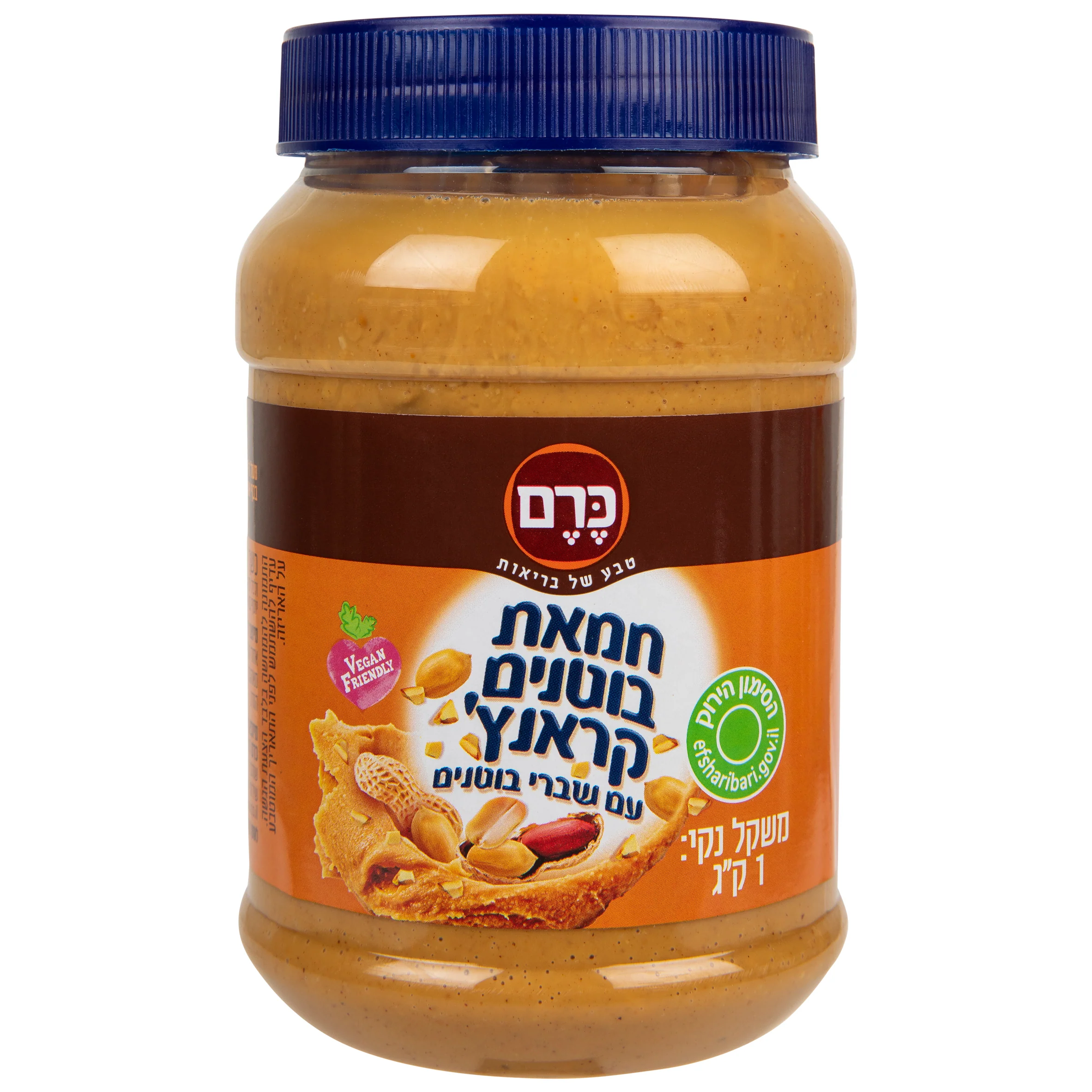 תמונה ממוזערת 1